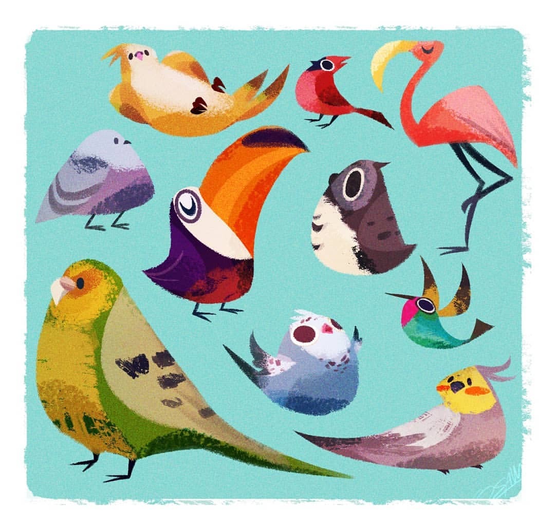 1080x1026 Little Birbs - Cute Parrot Drawing