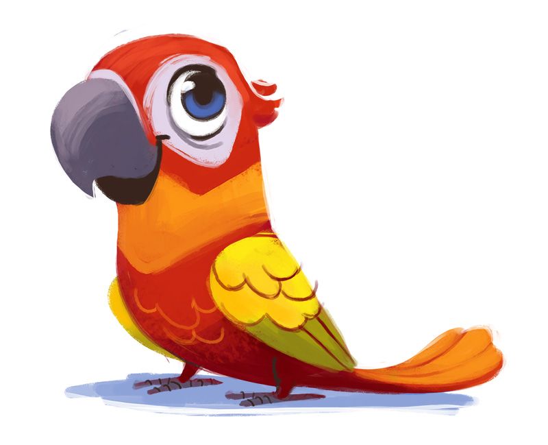 800x649 Little Bird - Cute Parrot Drawing
