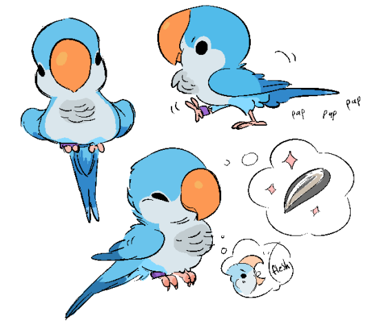 540x473 Animal Character Design, Birds, Quaker Parrot - Cute Parrot Drawing