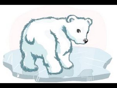 480x360 How To Draw A Baby Polar Bear - Cute Polar Bear Drawing