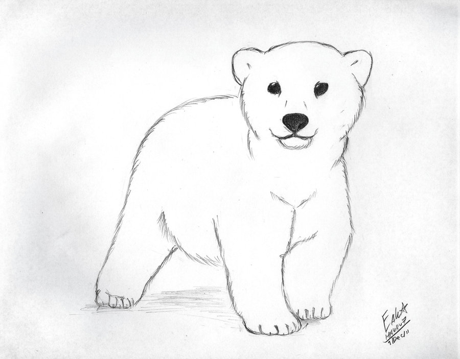 900x703 Cute Polar Bear Baby Tattoo Design - Cute Polar Bear Drawing