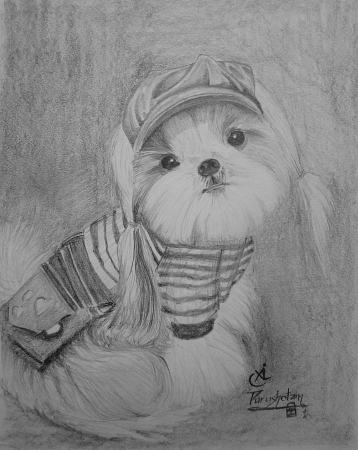 716x900 Pencil Sketch Of Cute Puppy Drawing - Cute Puppy Drawing