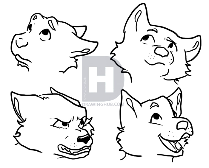 700x564 How To Draw Cute Puppies, Cute Puppies, Step - Cute Puppy Drawing