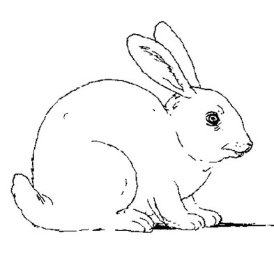 393x400 Rabbit Drawings For Kids - Cute Rabbit Drawing