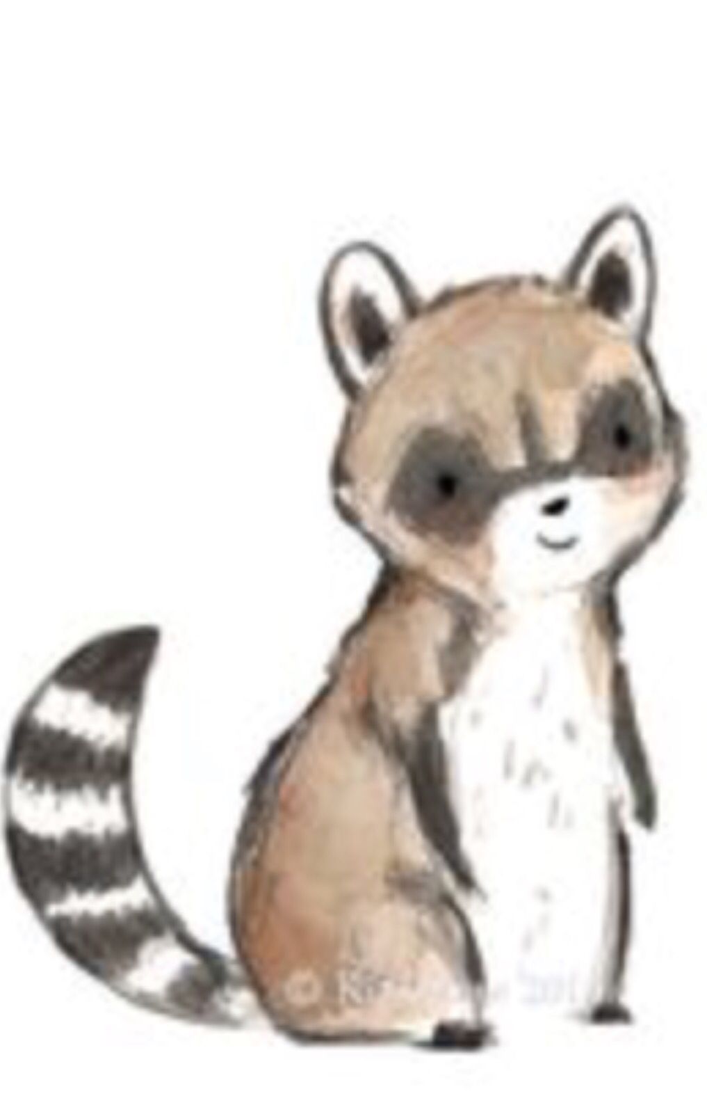 1017x1598 cute raccoon drawing art easy i'm going to be an auntie! - Cute Raccoon Drawing