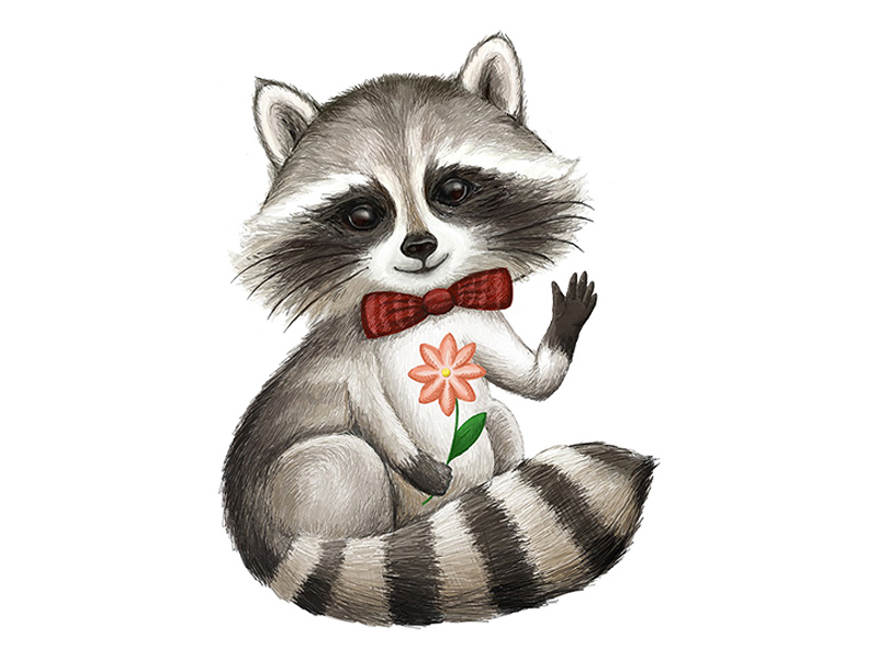 Cute Raccoon Drawing at Explore collection of Cute