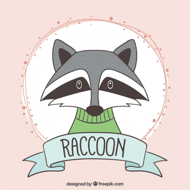 626x626 Hand Drawn Cute Raccoon With A Green Jersey Vector Free Download - Cute Raccoon Drawing