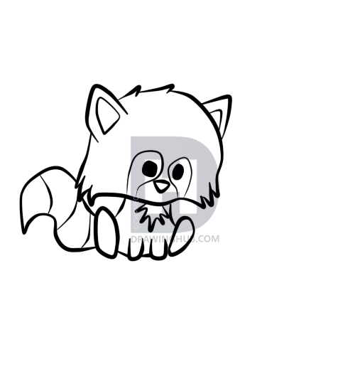 500x550 How To Draw A Cute Raccoon, Step - Cute Raccoon Drawing