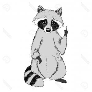 300x300 Photostock Vector Cute Raccoon Vector Illustration Soidergi - Cute Raccoon Drawing
