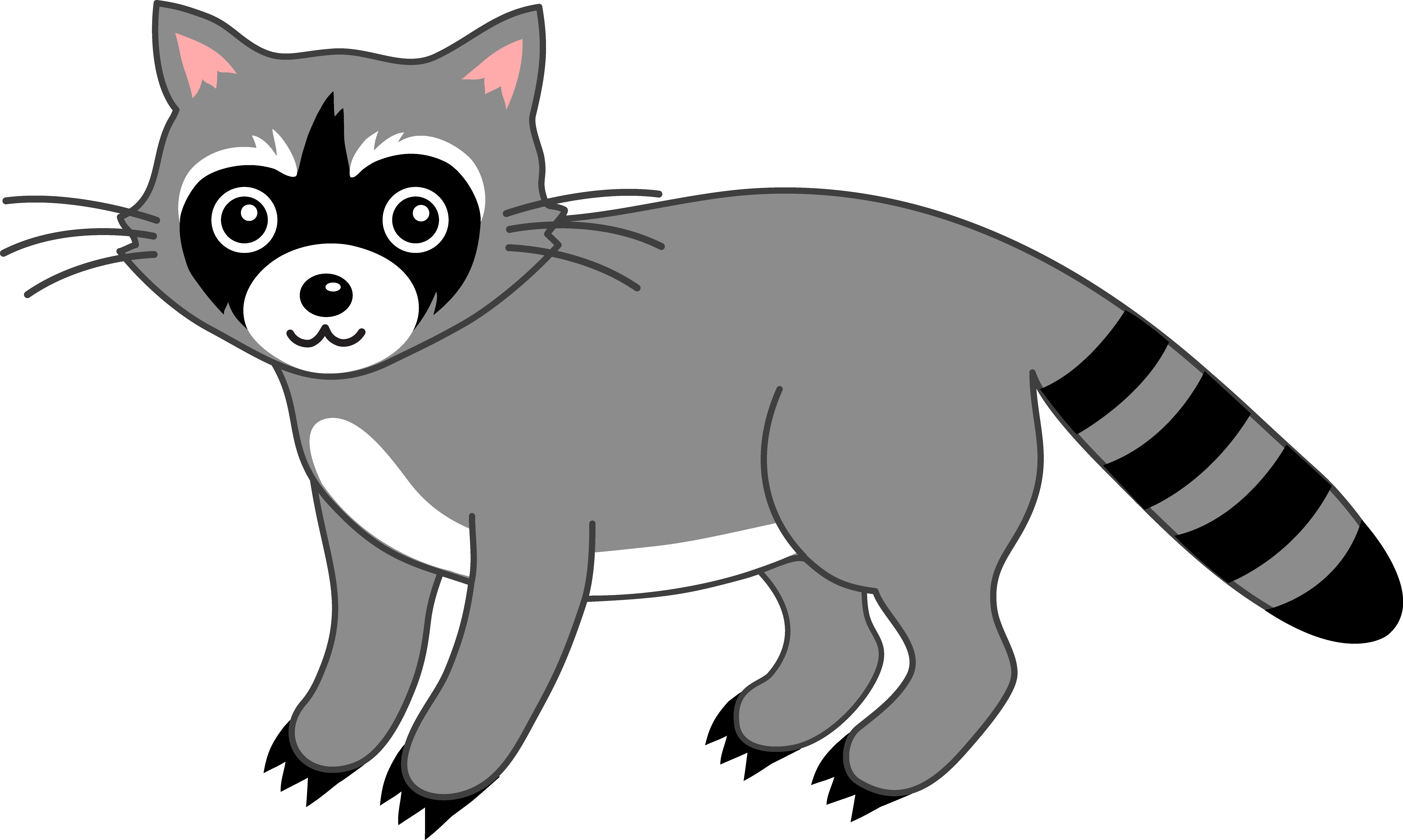 8503x5092 Raccoons Drawing Transparent Png Clipart Free Download - Cute Raccoon Drawing