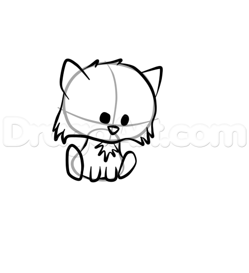 500x550 Draw A Cute Raccoon, Step - Cute Raccoon Drawing