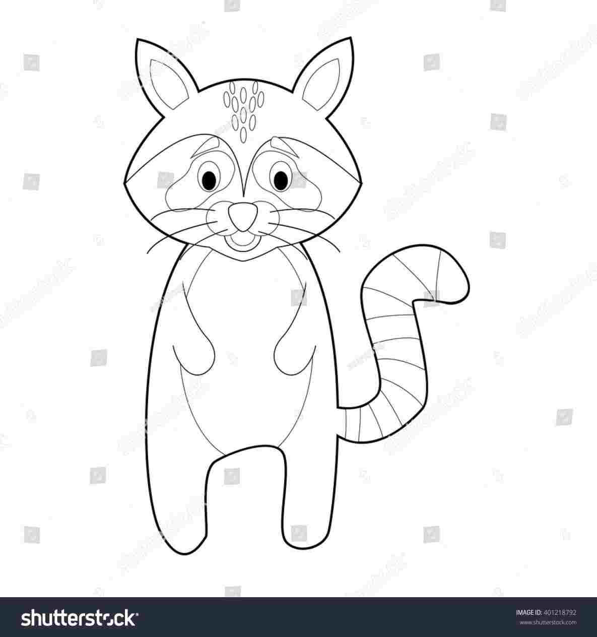 1185x1264 To Draw Cartoon Characters Cute Raccoon Easy Animals Rhyoutubecom - Cute Raccoon Drawing