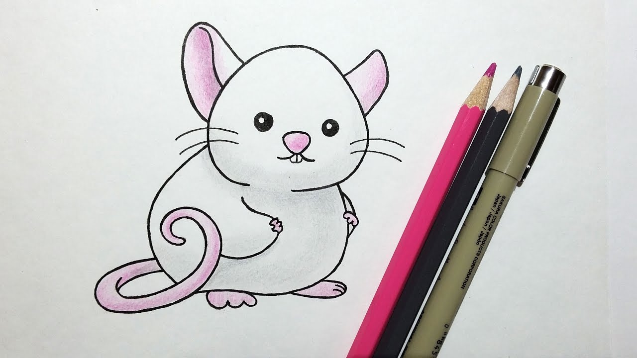 1280x720 How To Draw A Cute Cartoon Rat With Colored Pencils - Cute Rat Drawing