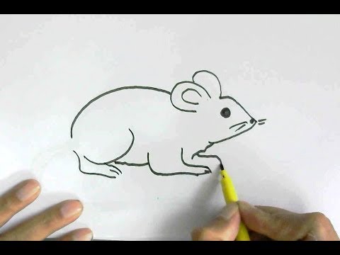 480x360 How To Draw Rat Or Mouse In Easy Steps For Children, Kids - Cute Rat Drawing