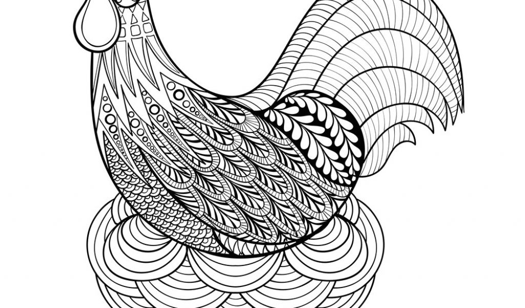 1024x600 cute rooster drawing rooster mandala vector images troller us - Cute Rooster Drawing