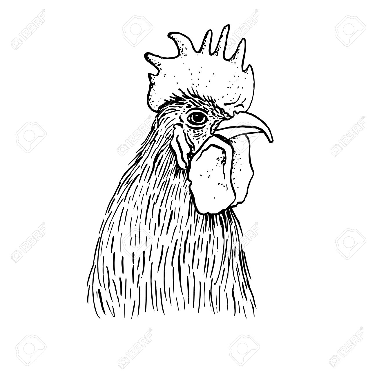 1300x1300 Drawn Rooster Cute - Cute Rooster Drawing