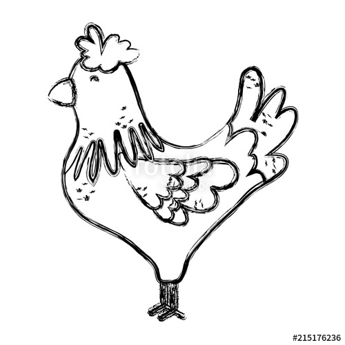 500x500 Grunge Cute Rooster Farm Animal Icon Stock Image And Royalty Free - Cute Rooster Drawing