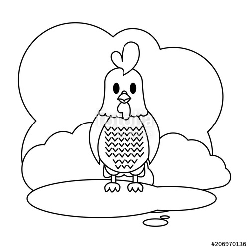 500x500 Line Cute Rooster Farm Animal In The Landscape Stock Image - Cute Rooster Drawing