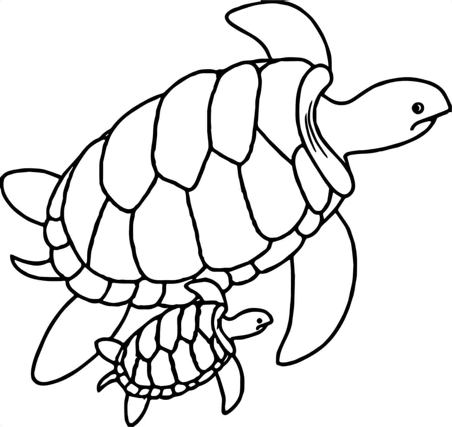 1500x1416 rhdrawingforkidscom for personal use rhgetdrawingscom cute - Cute Sea Turtle Drawing