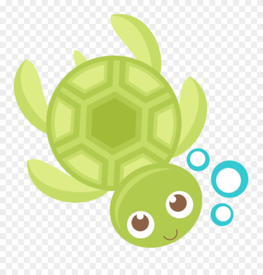880x920 Cute Turtle Clipart Turtle Clipart At Getdrawings Free - Cute Sea Turtle Drawing