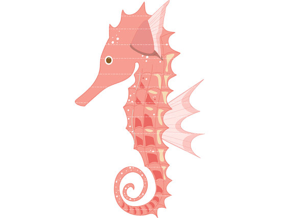 570x428 seahorse on seahorses seahorse drawing and clip art - Cute Seahorse Drawing
