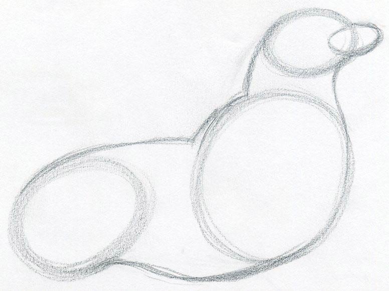 776x580 How To Draw A Seal - Cute Seal Drawing