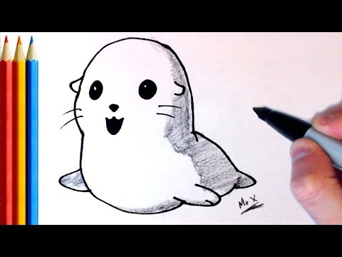 480x360 How To Draw Cute Baby Seal - Cute Seal Drawing