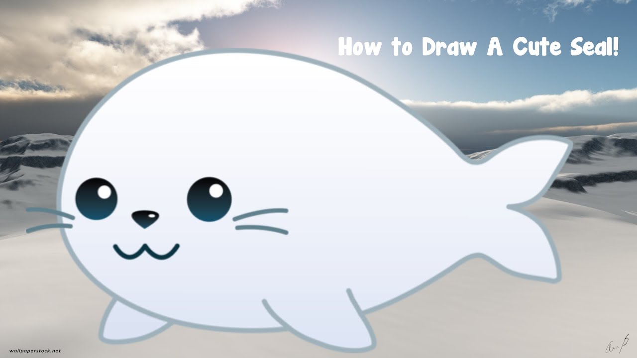 1280x720 How To Draw A Cute Seal - Cute Seal Drawing
