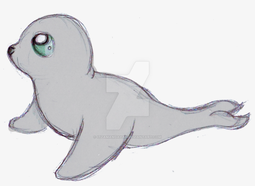 820x600 Collection Of Seal Drawings Cute - Cute Seal Drawing
