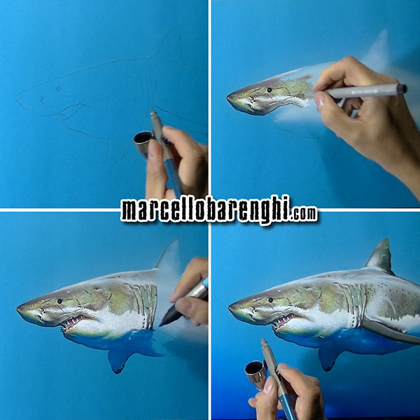 600x600 A Cute Shark - Cute Shark Drawing