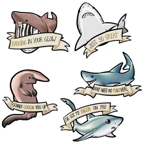 474x474 i never would've thought sharks could be cute the shiitake - Cute Shark Drawing
