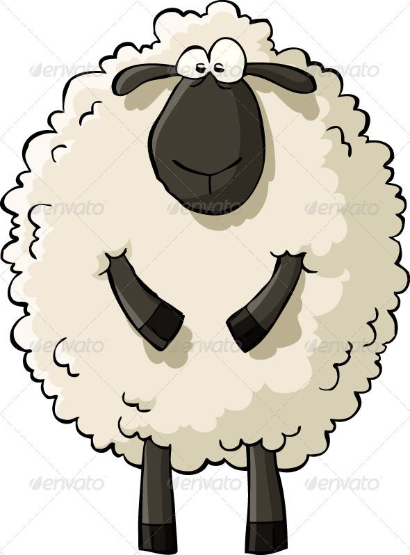 590x798 baby sheep drawing, sheep illustration - Cute Sheep Drawing