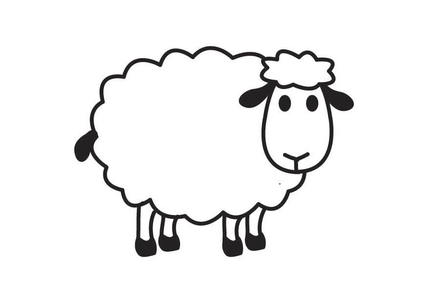875x620 Sheep Drawing Free Download - Cute Sheep Drawing