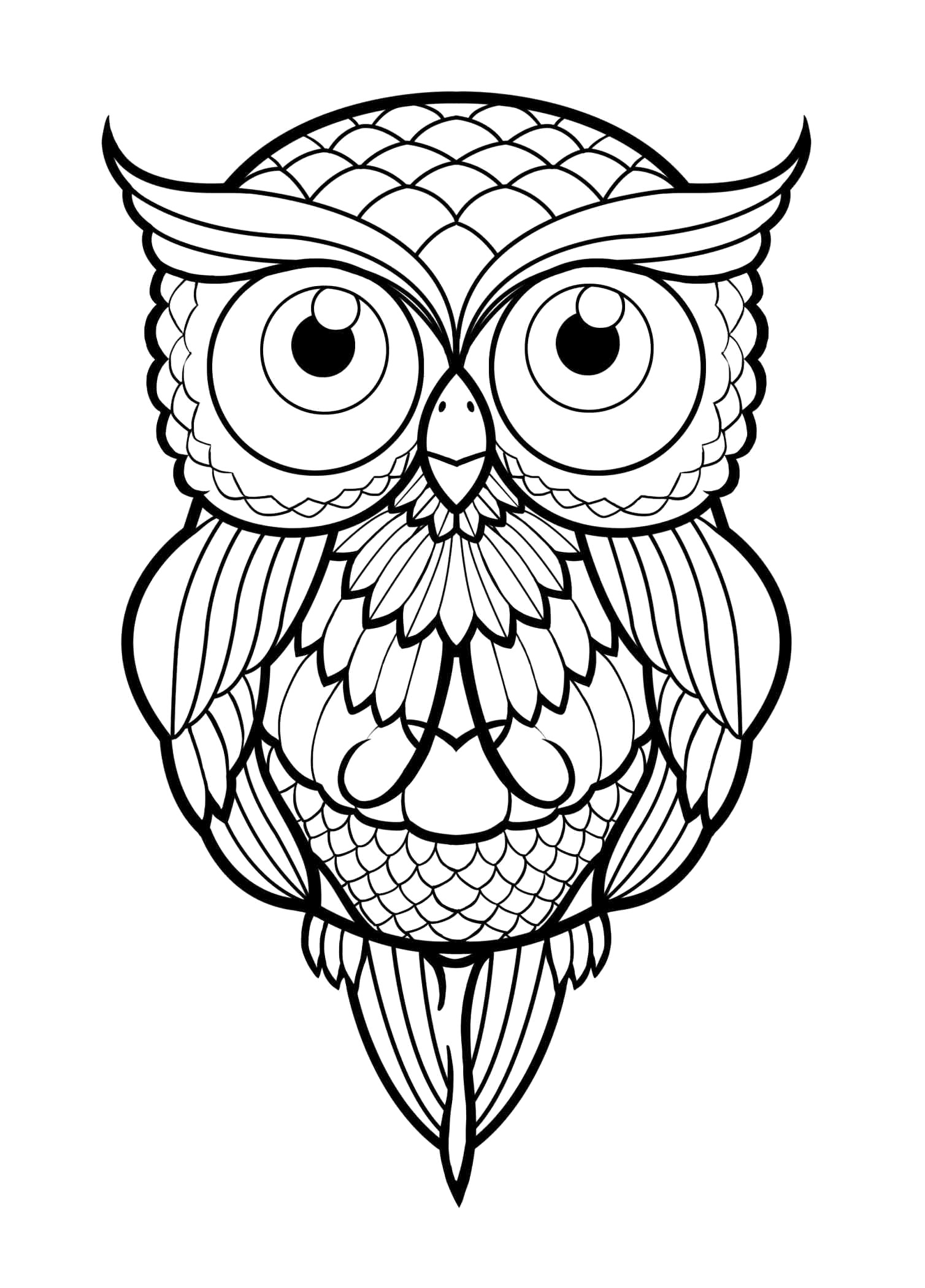 1508x2098 Simple Cute Owl Drawing - Cute Simple Drawings