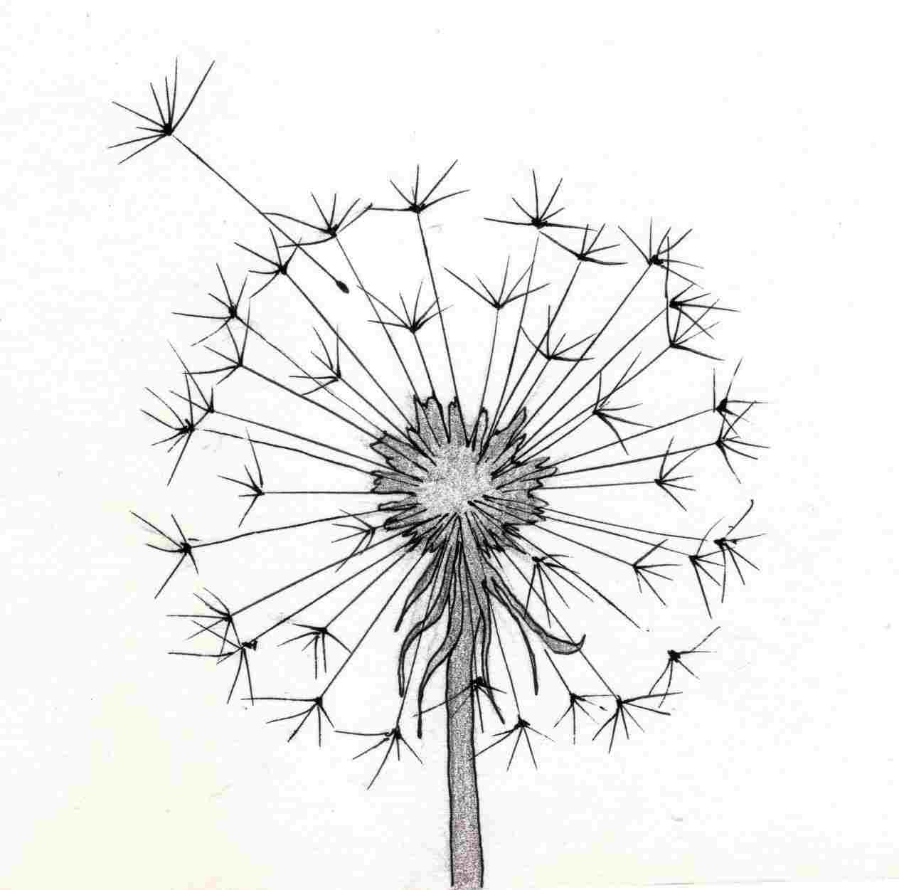 1264x1251 Cute Simple Drawings - Cute Simple Drawings