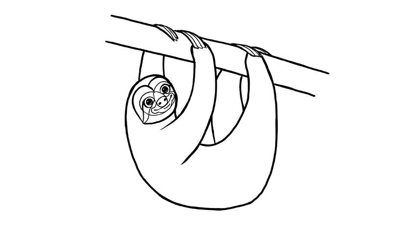 850x476 How To Draw A Sloth Step - Cute Sloth Drawing