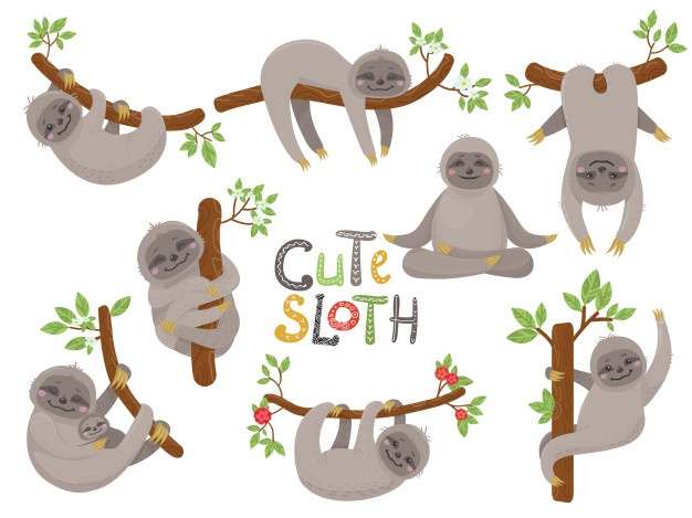 626x469 Sloth Vectors, Photos And Free Download - Cute Sloth Drawing
