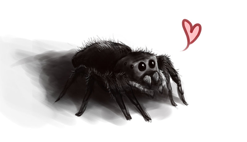 Cute Spider Drawing at PaintingValley.com | Explore collection of Cute ...