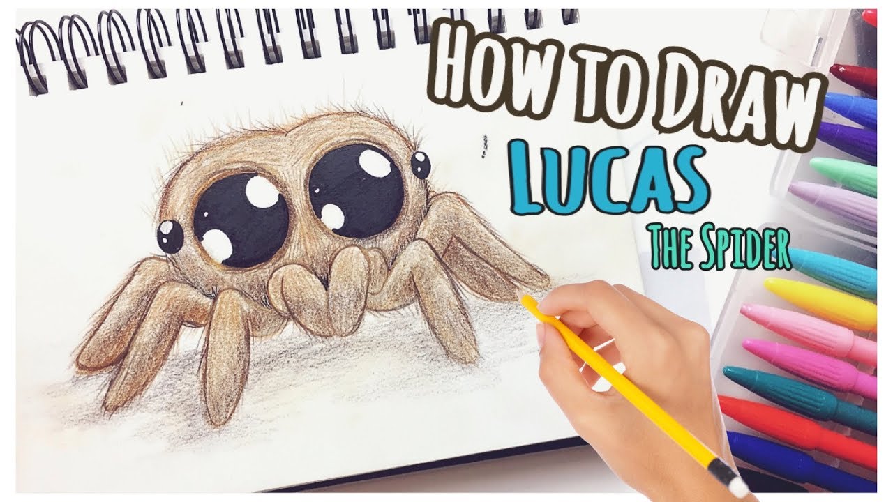1280x720 How To Draw - Cute Spider Drawing