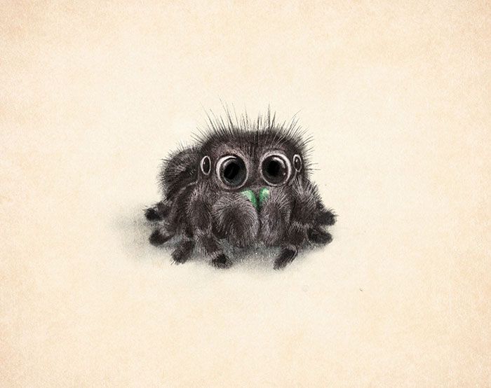 700x554 incredibly cute animal illustrations - Cute Spider Drawing