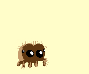 300x250 Lucas The Cute Spider Drawing - Cute Spider Drawing