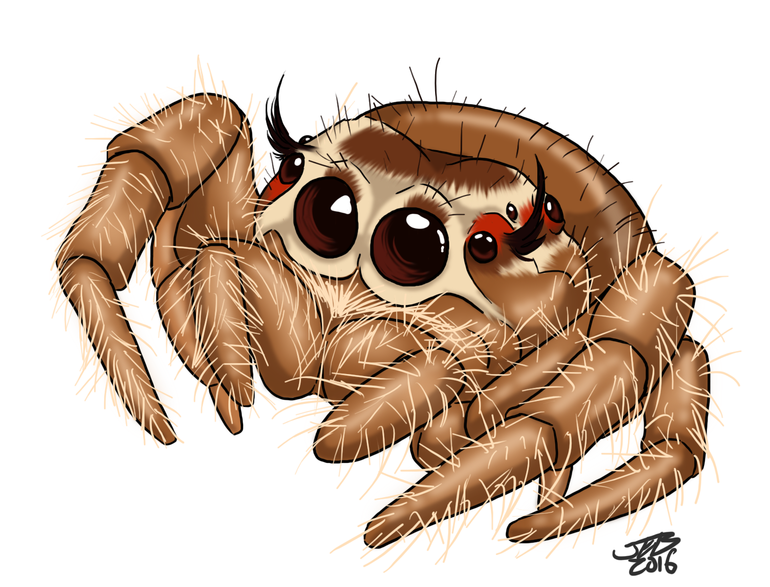 Cute Spider Drawing at Explore collection of Cute