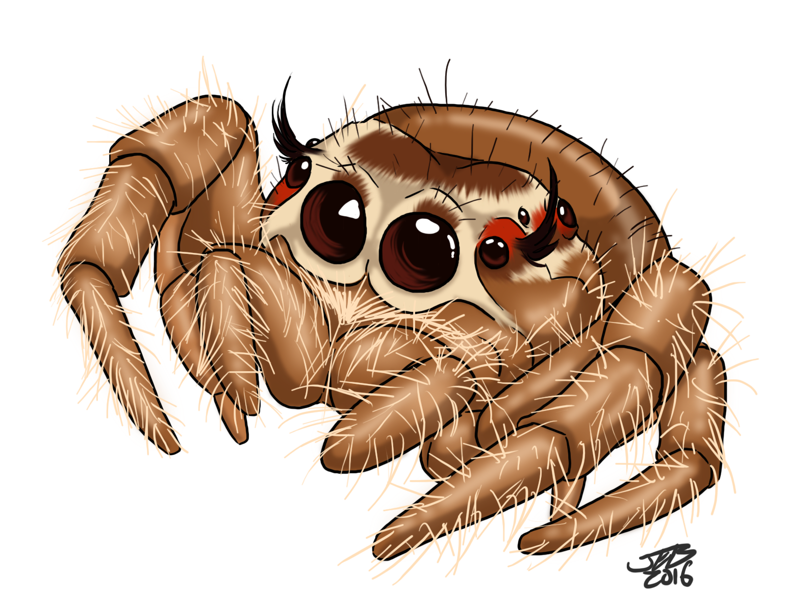 Cute Spider Drawing at Explore collection of Cute Spider Drawing