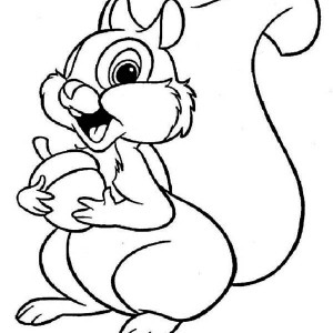 300x300 Cute Squirrel Drawing - Cute Squirrel Drawing