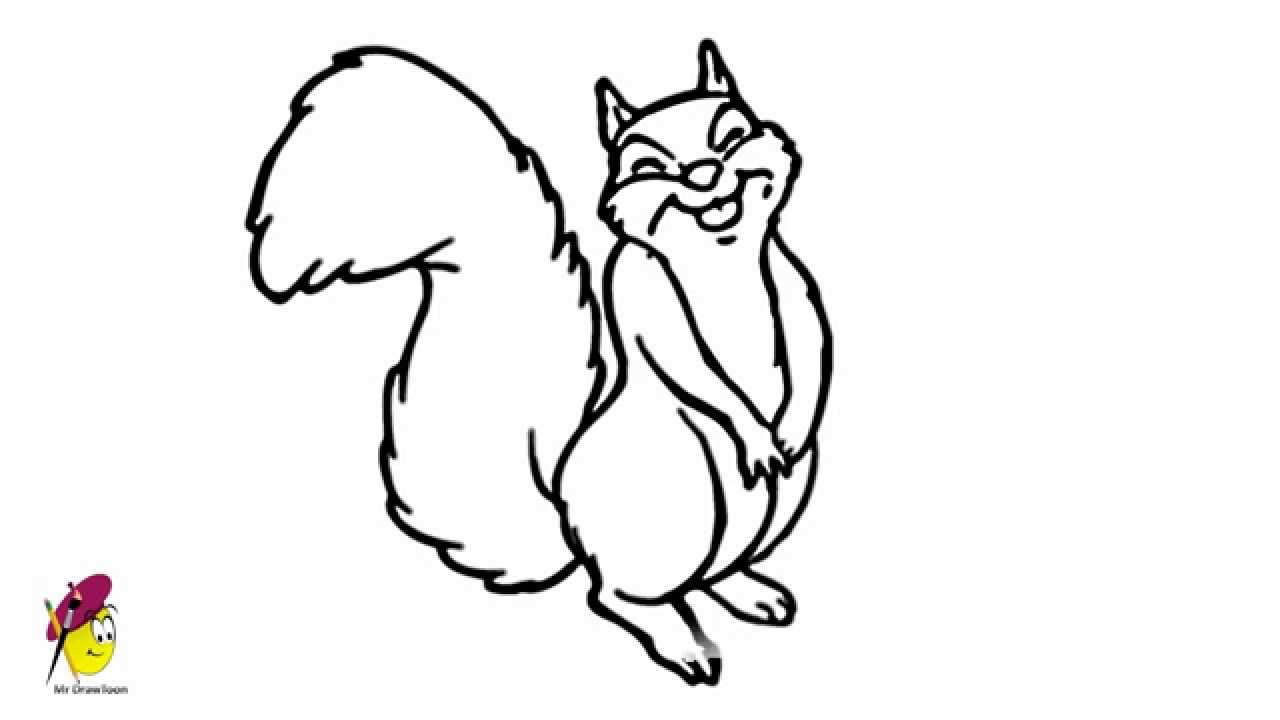 1280x720 Funny Squirrel - Cute Squirrel Drawing