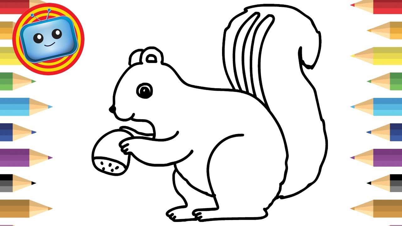 1280x720 How To Draw Cute Squirrel Colouring Book Simple Drawing Game - Cute Squirrel Drawing