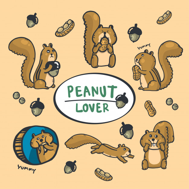 626x626 Cartoon Hand Drawing Cute Squirrel And Autumn Background Vector - Cute Squirrel Drawing