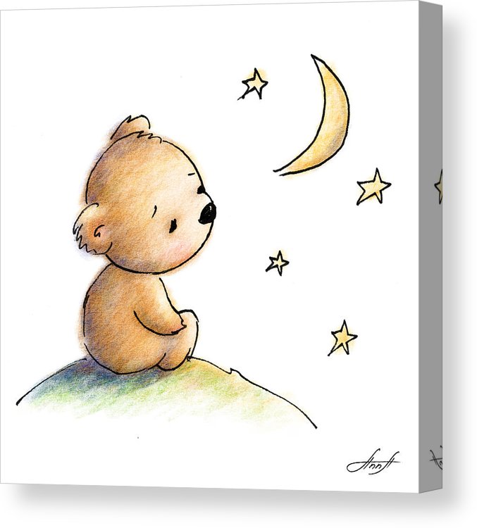 677x750 Drawing Of Cute Teddy Bear Watching The Star Canvas Print Canvas - Cute Teddy Bear Drawing