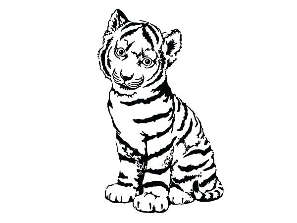 600x450 Cute Tiger Pictures To Color Baby Tank Coloring Pages For Boys - Cute Tiger Drawing