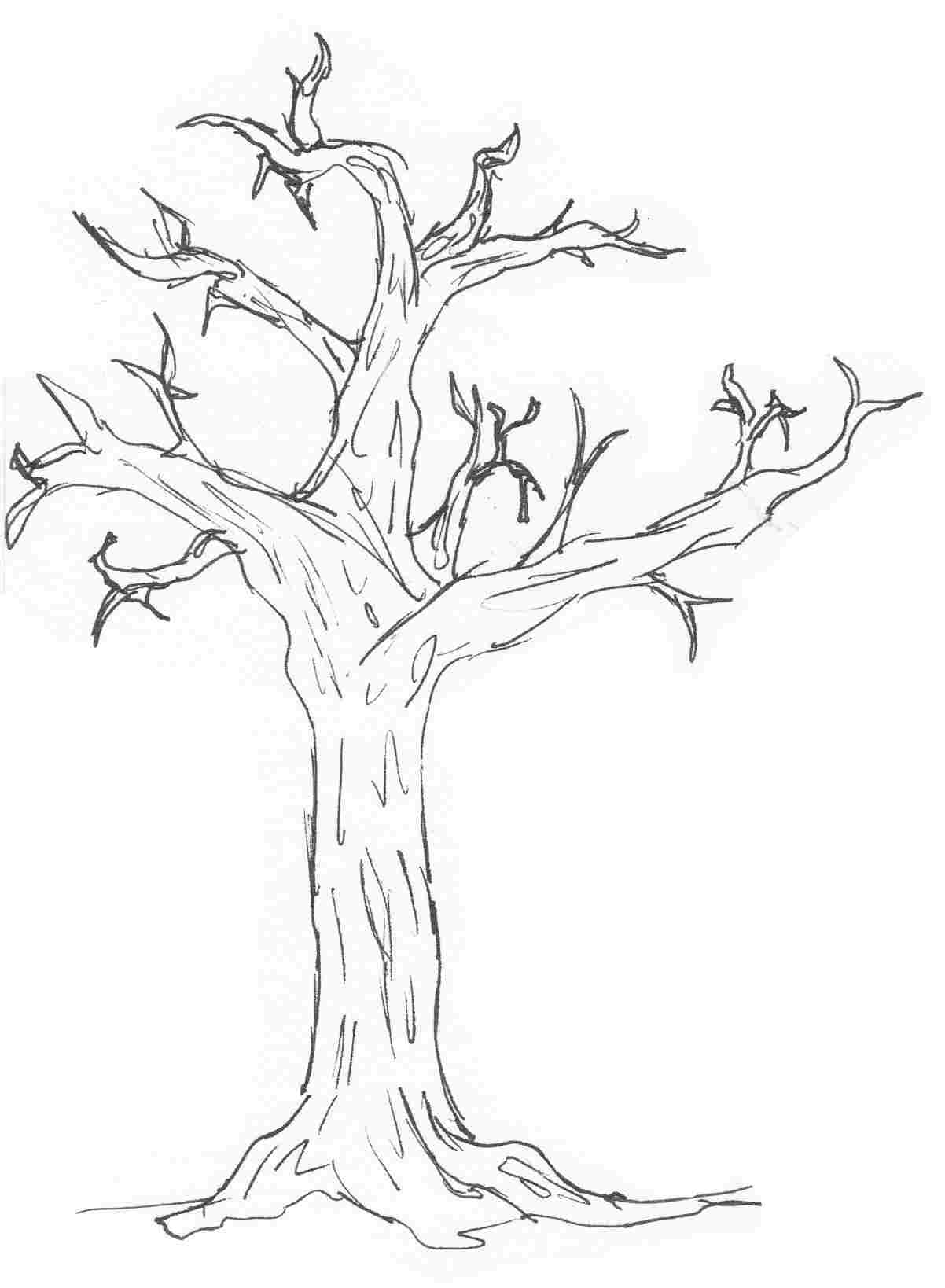 1202x1638 Easy Cute Tree Drawing - Cute Tree Drawing
